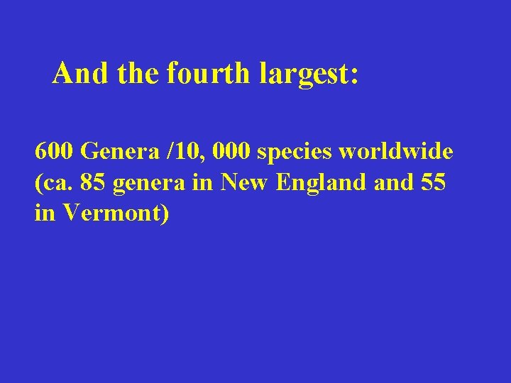 And the fourth largest: 600 Genera /10, 000 species worldwide (ca. 85 genera in