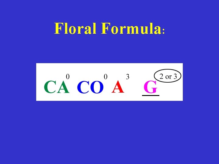 Floral Formula: 