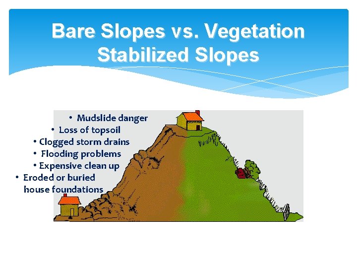 Bare Slopes vs. Vegetation Stabilized Slopes • Mudslide danger • Loss of topsoil •