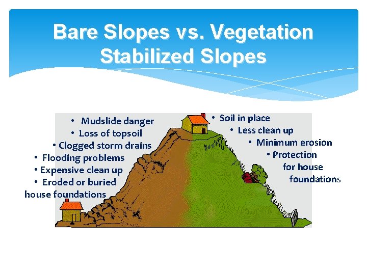 Bare Slopes vs. Vegetation Stabilized Slopes • Mudslide danger • Loss of topsoil •