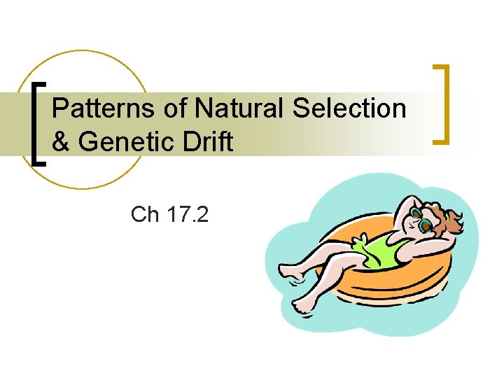 Patterns of Natural Selection & Genetic Drift Ch 17. 2 