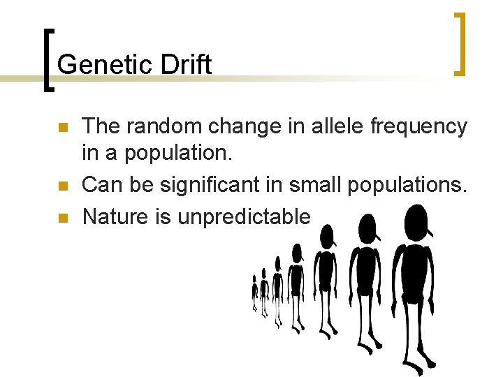 Genetic Drift n n n The random change in allele frequency in a population.