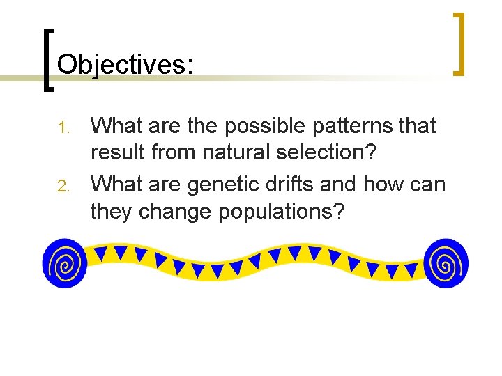 Objectives: 1. 2. What are the possible patterns that result from natural selection? What