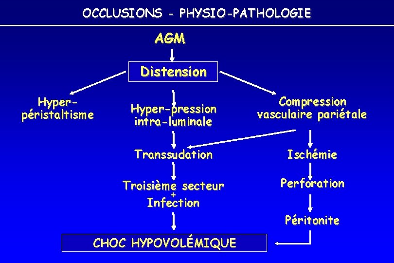 OCCLUSIONS - PHYSIO-PATHOLOGIE AGM Distension Hyperpéristaltisme Hyper-pression intra-luminale Compression vasculaire pariétale Transsudation Ischémie Troisième OCCLUSIONS - PHYSIO-PATHOLOGIE AGM Distension Hyperpéristaltisme Hyper-pression intra-luminale Compression vasculaire pariétale Transsudation Ischémie Troisième