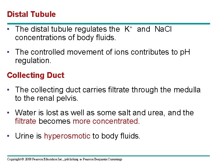 Distal Tubule • The distal tubule regulates the K+ and Na. Cl concentrations of Distal Tubule • The distal tubule regulates the K+ and Na. Cl concentrations of