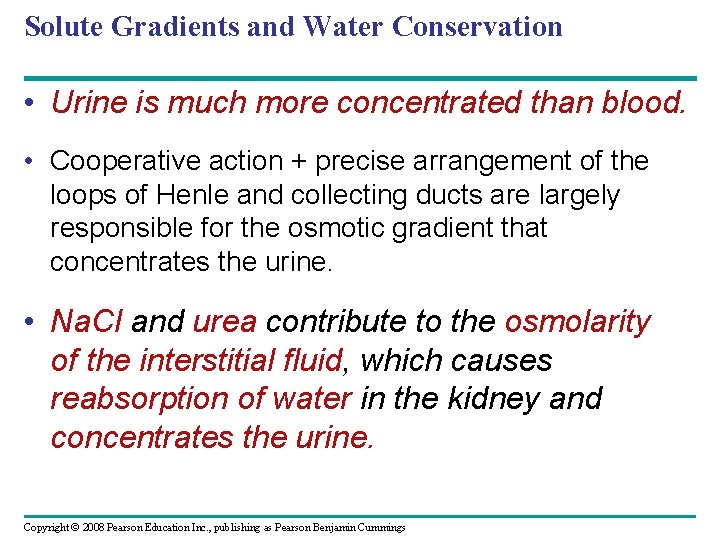 Solute Gradients and Water Conservation • Urine is much more concentrated than blood. • Solute Gradients and Water Conservation • Urine is much more concentrated than blood. •