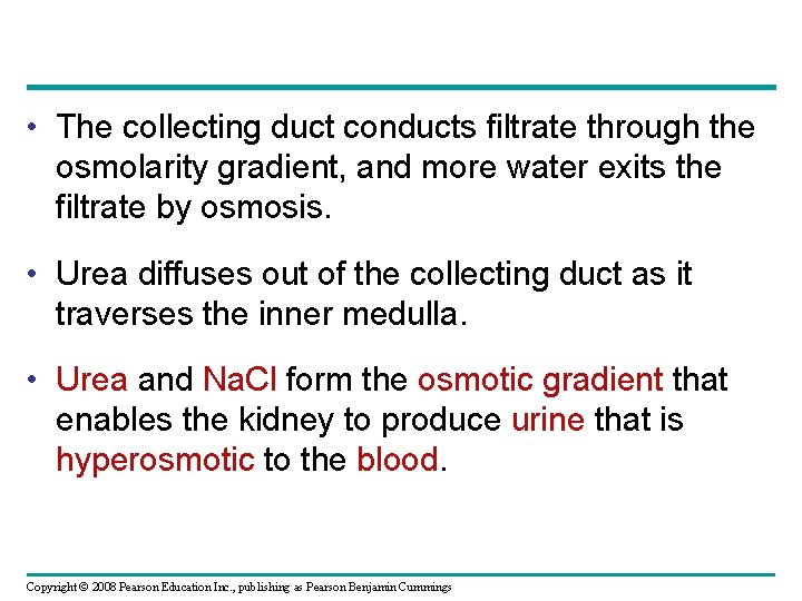 • The collecting duct conducts filtrate through the osmolarity gradient, and more water • The collecting duct conducts filtrate through the osmolarity gradient, and more water