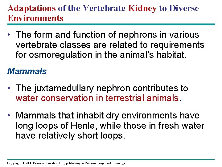 Adaptations of the Vertebrate Kidney to Diverse Environments • The form and function of Adaptations of the Vertebrate Kidney to Diverse Environments • The form and function of