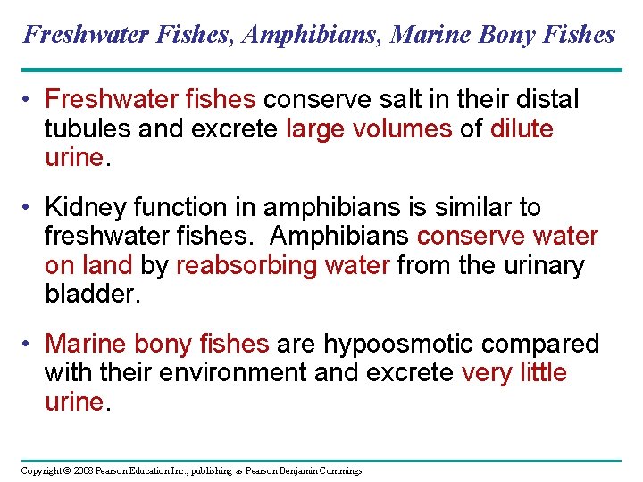Freshwater Fishes, Amphibians, Marine Bony Fishes • Freshwater fishes conserve salt in their distal Freshwater Fishes, Amphibians, Marine Bony Fishes • Freshwater fishes conserve salt in their distal