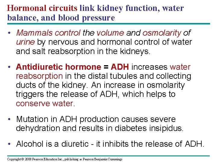 Hormonal circuits link kidney function, water balance, and blood pressure • Mammals control the Hormonal circuits link kidney function, water balance, and blood pressure • Mammals control the