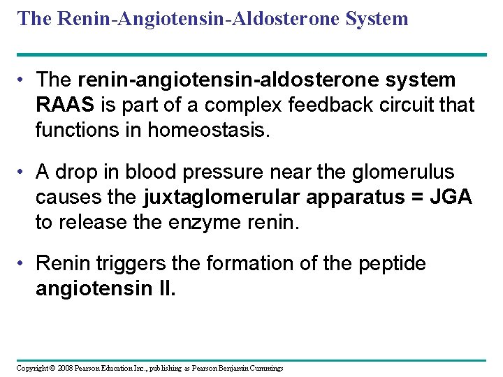 The Renin-Angiotensin-Aldosterone System • The renin-angiotensin-aldosterone system RAAS is part of a complex feedback The Renin-Angiotensin-Aldosterone System • The renin-angiotensin-aldosterone system RAAS is part of a complex feedback
