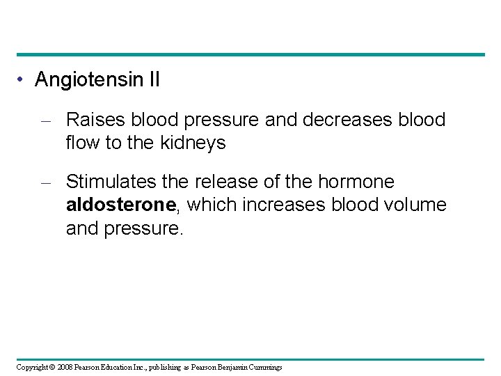• Angiotensin II – Raises blood pressure and decreases blood flow to the • Angiotensin II – Raises blood pressure and decreases blood flow to the