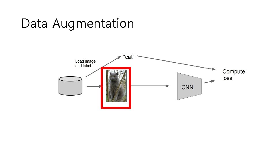 Data Augmentation 