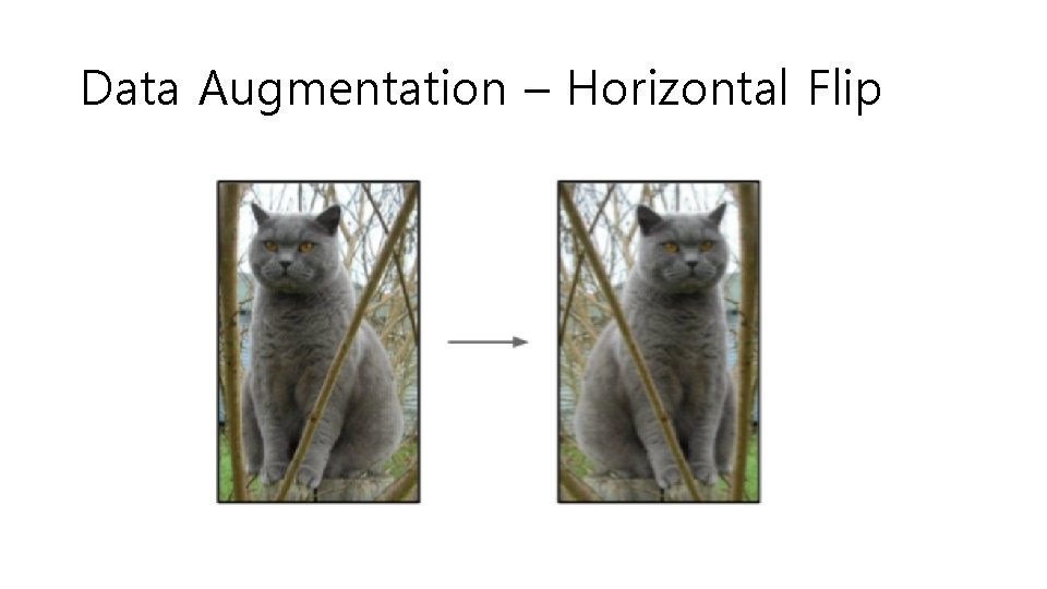 Data Augmentation – Horizontal Flip 