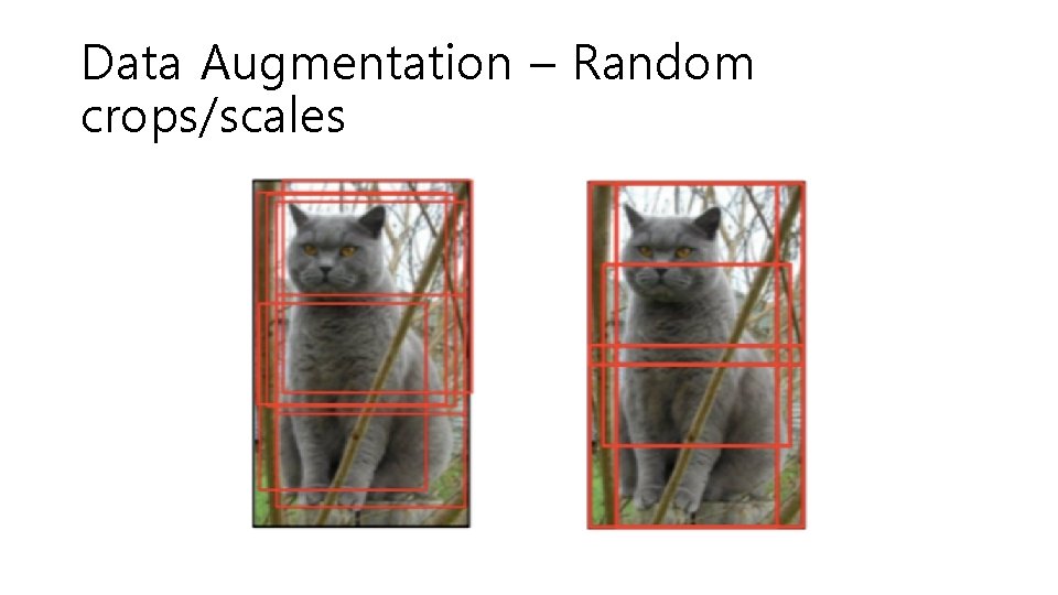 Data Augmentation – Random crops/scales 