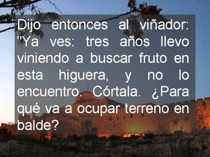 Dijo entonces al viñador: "Ya ves: tres años llevo viniendo a buscar fruto en