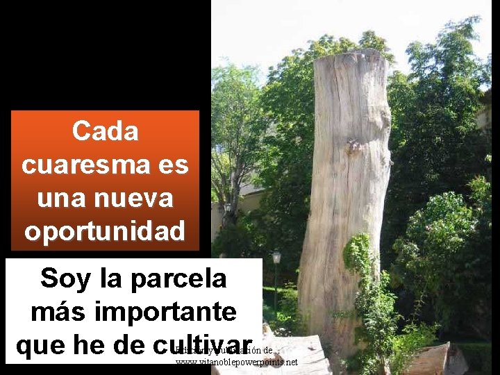 Cada cuaresma es una nueva oportunidad Soy la parcela más importante que he de