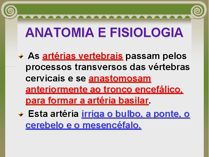 ANATOMIA E FISIOLOGIA As artérias vertebrais passam pelos processos transversos das vértebras cervicais e