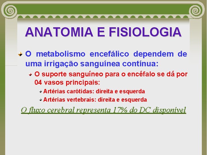 ANATOMIA E FISIOLOGIA O metabolismo encefálico dependem de uma irrigação sanguínea contínua: O suporte