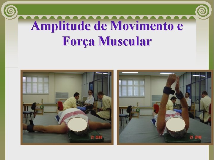 Amplitude de Movimento e Força Muscular 