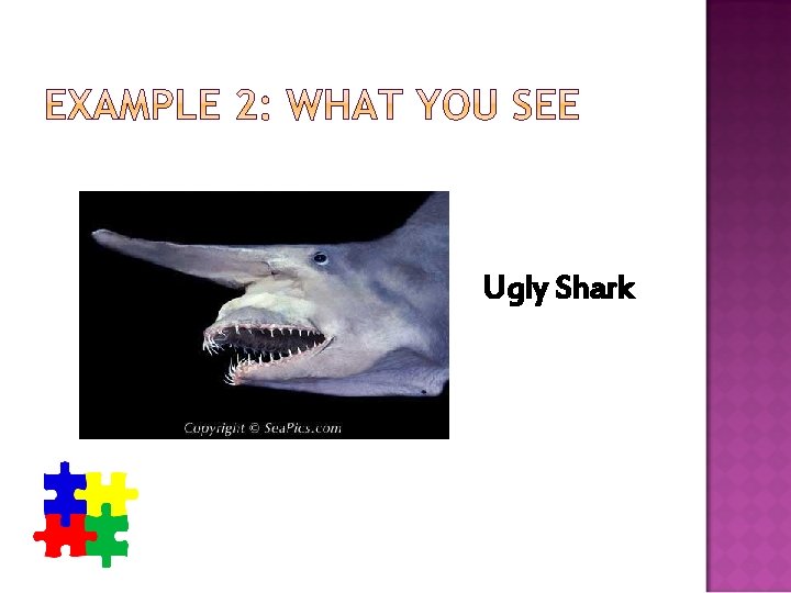 Ugly Shark 