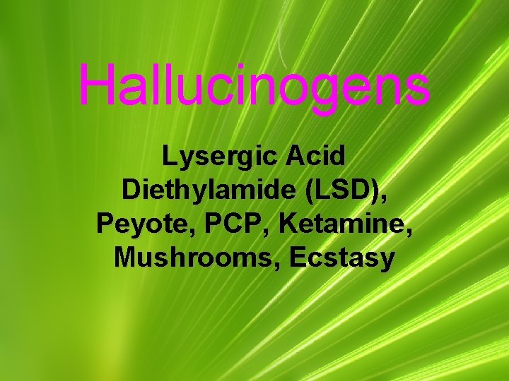 Hallucinogens Lysergic Acid Diethylamide (LSD), Peyote, PCP, Ketamine, Mushrooms, Ecstasy 