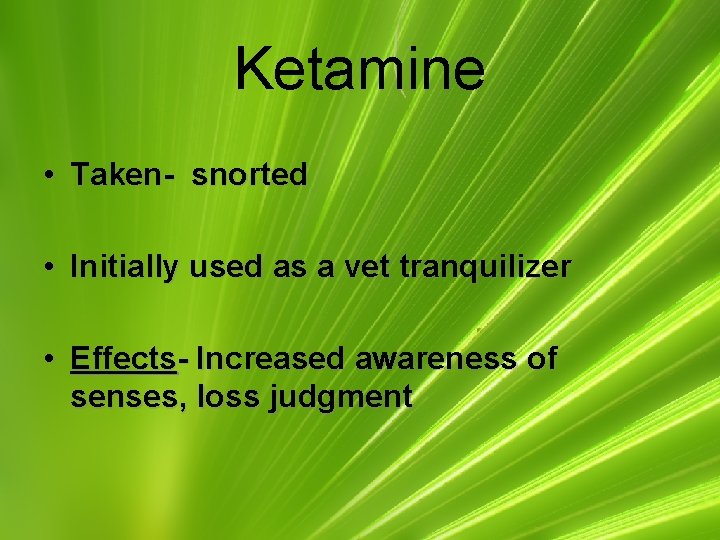 Ketamine • Taken- snorted • Initially used as a vet tranquilizer • Effects- Increased