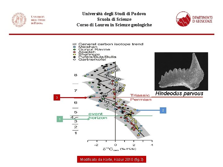 Università degli Studi di Padova Scuola di Scienze Corso di Laurea in Scienze geologiche