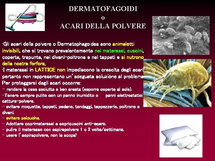 DERMATOFAGOIDI o ACARI DELLA POLVERE • Gli acari della polvere o Dermatophagoides sono animaletti