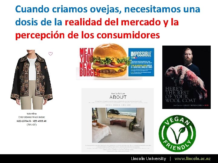 Cuando criamos ovejas, necesitamos una dosis de la realidad del mercado y la percepción