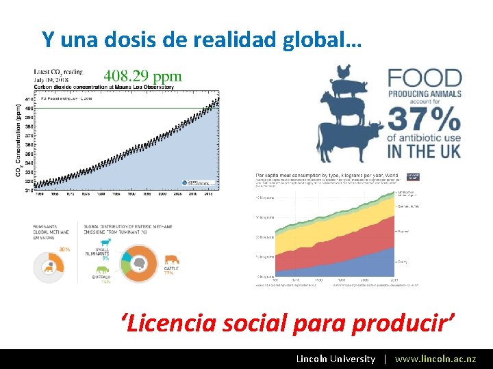 Y una dosis de realidad global… ‘Licencia social para producir’ Lincoln University | www.