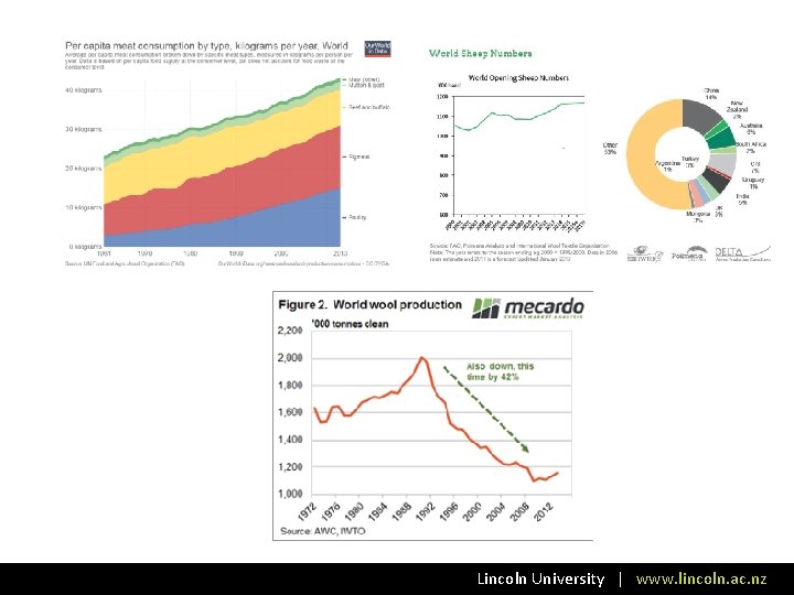 Lincoln University | www. lincoln. ac. nz 