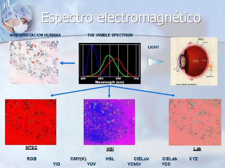 Espectro electromagnético INTERPRETACION HUMANA THE VISIBLE SPECTRUM LIGHT NTSC Lab HSI RGB CMY(K) YIQ