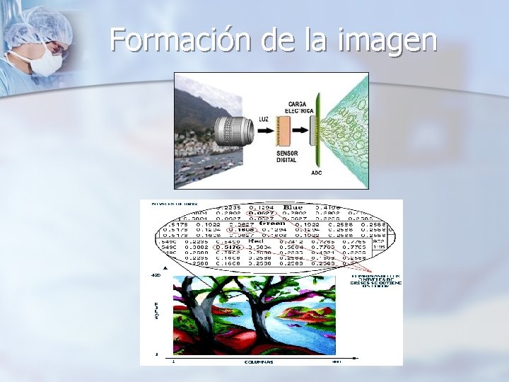 Formación de la imagen 