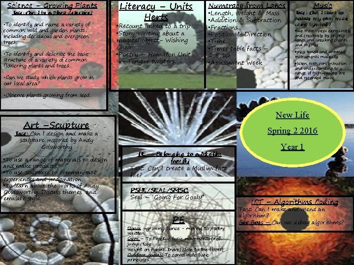 Science – Growing Plants Tasc: Can I be a plant detective? • To identify