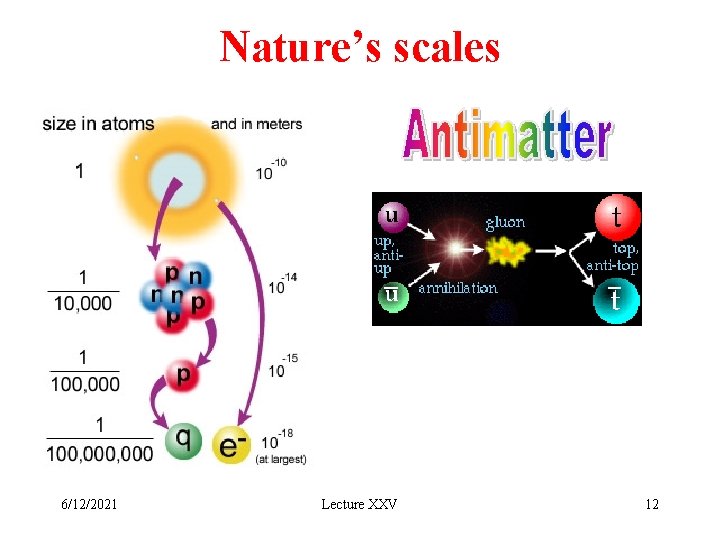 Nature’s scales 6/12/2021 Lecture XXV 12 