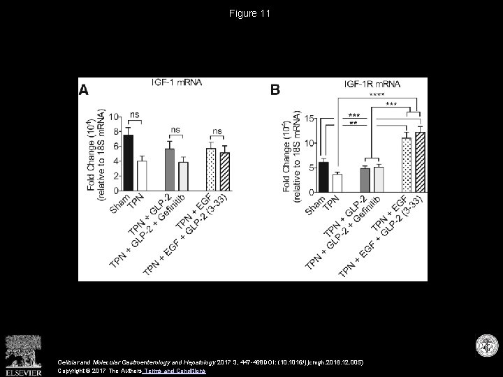 Figure 11 Cellular and Molecular Gastroenterology and Hepatology 2017 3, 447 -468 DOI: (10.