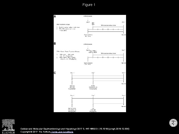 Figure 1 Cellular and Molecular Gastroenterology and Hepatology 2017 3, 447 -468 DOI: (10.