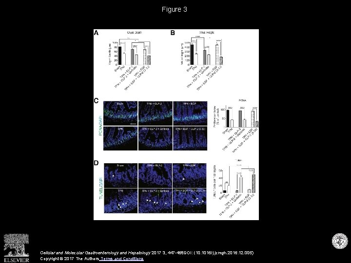 Figure 3 Cellular and Molecular Gastroenterology and Hepatology 2017 3, 447 -468 DOI: (10.