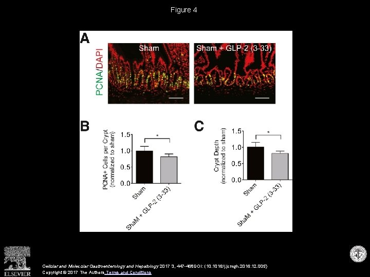 Figure 4 Cellular and Molecular Gastroenterology and Hepatology 2017 3, 447 -468 DOI: (10.