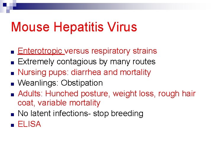 Mouse Hepatitis Virus ■ ■ ■ ■ Enterotropic versus respiratory strains Extremely contagious by