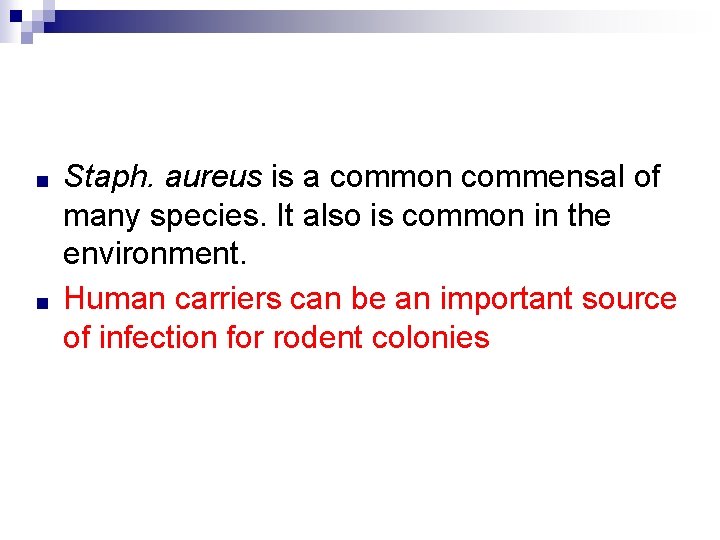 ■ ■ Staph. aureus is a common commensal of many species. It also is