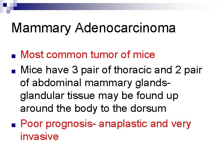 Mammary Adenocarcinoma ■ ■ ■ Most common tumor of mice Mice have 3 pair