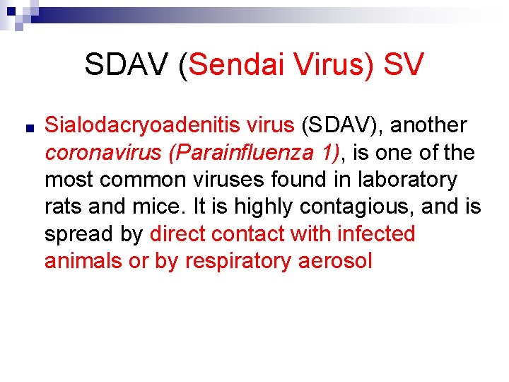 SDAV (Sendai Virus) SV ■ Sialodacryoadenitis virus (SDAV), another coronavirus (Parainfluenza 1), is one