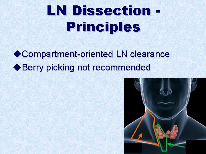LN Dissection Principles u. Compartment-oriented LN clearance u. Berry picking not recommended 
