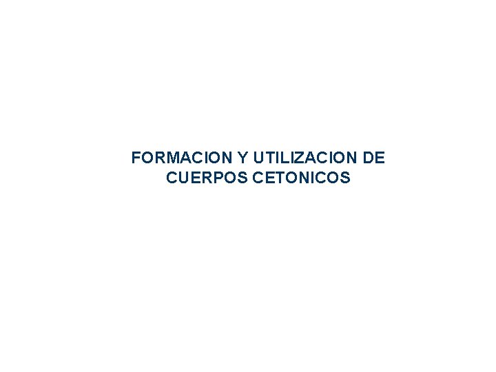 FORMACION Y UTILIZACION DE CUERPOS CETONICOS FORMACION Y UTILIZACION DE CUERPOS CETONICOS