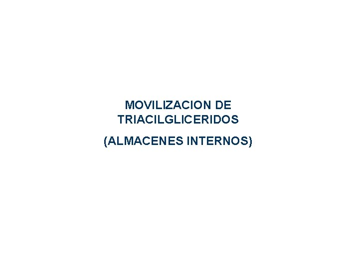 MOVILIZACION DE TRIACILGLICERIDOS (ALMACENES INTERNOS) MOVILIZACION DE TRIACILGLICERIDOS (ALMACENES INTERNOS)
