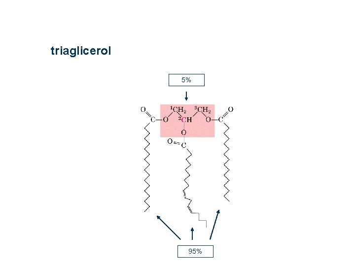 triaglicerol 5% 95% triaglicerol 5% 95%