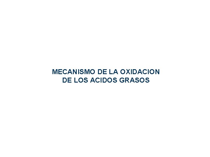 MECANISMO DE LA OXIDACION DE LOS ACIDOS GRASOS MECANISMO DE LA OXIDACION DE LOS ACIDOS GRASOS