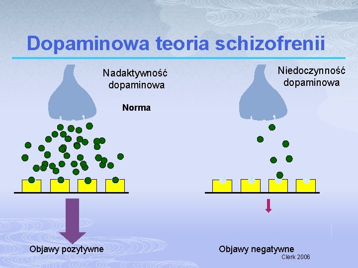 Dopaminowa teoria schizofrenii Nadaktywność dopaminowa Niedoczynność dopaminowa Norma Objawy pozytywne Objawy negatywne Clerk 2006